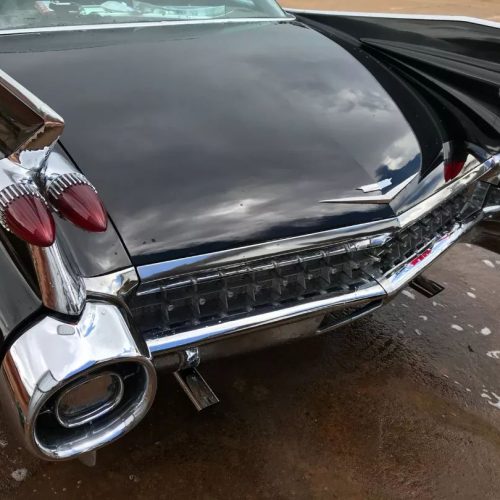 280107646_1741096466222190_2160763579333971714_n