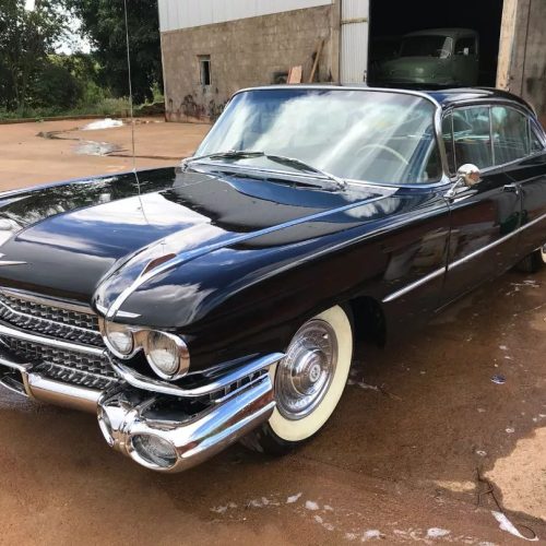 280184634_1741096469555523_3408913819750132774_n